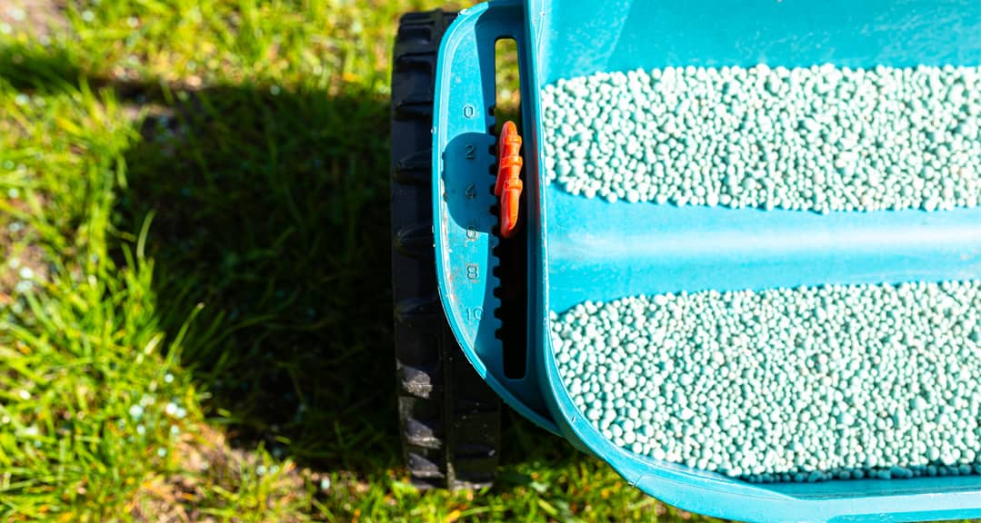 A blue Lawn seeder on a lawn