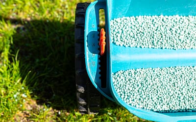 The Ultimate Guide to Garden Lawn Seeding