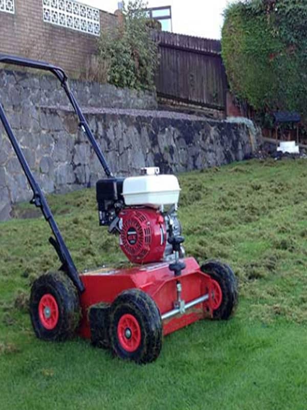 Rake lying on grass lawn