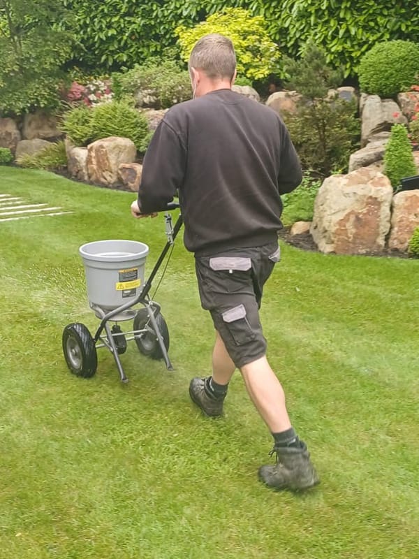 A person applying fertilizer to a garden lawn.